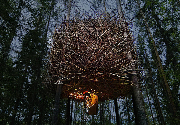 Bird’s Nest Tree Hotel
