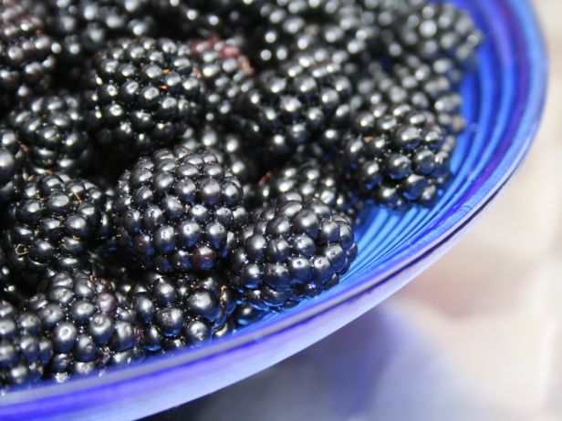 FN_Summer-Food-Blackberries_s4x3.jpg.rend.snigalleryslide